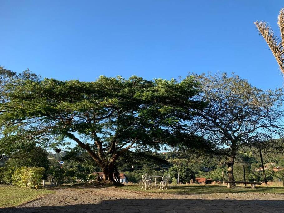 Quarto Dos Vinhos Villa Sao Roque  Luaran gambar